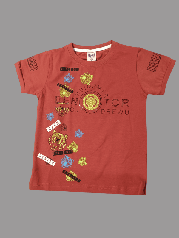 Boys' Stylish Graphic T-Shirt & Cargo Shorts D.26/6 B.3944