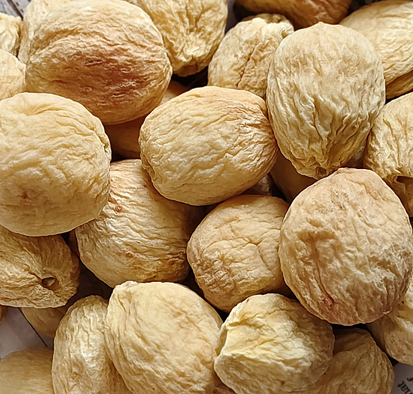 Apricot Premium