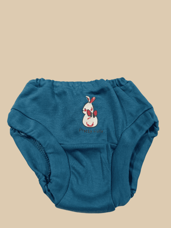 Baby Cotton Briefs / Panties โ Set of 6 jj D.DP/P24