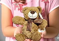 Super Soft and Fluffy Teddy Bear Brown