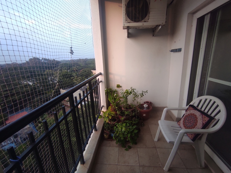 The Bangalore Tigress' Stay(P)