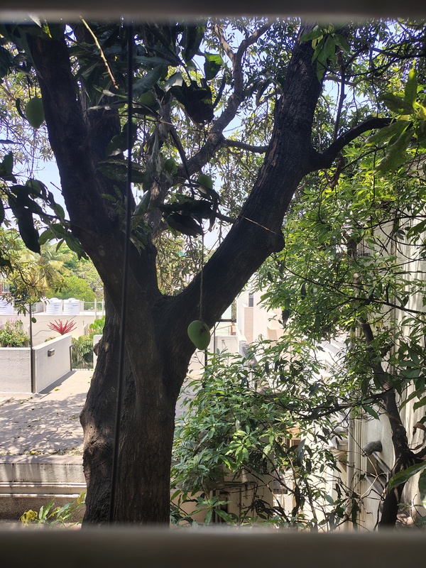 Picasso's Nest Jayanagar Bangalore