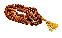 Rudraksha Mala - Beads size 9 mm, Length 51 cm, Beads 108 Rudraksha Mala - Beads size 9 mm, Length 51 cm, Beads 108