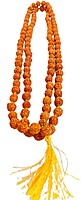 Rudraksha Mala - Beads size 10 mm, Length 58 cm, Beads 108