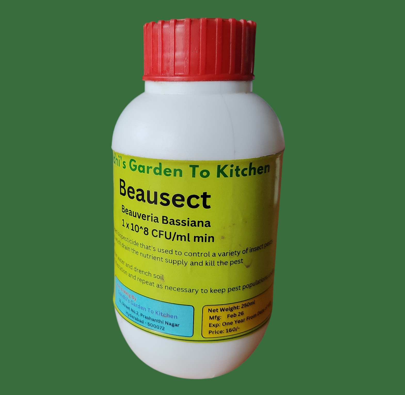 Beausect - Beauveria Bassiana Liquid (1 * 10^8 CFU/ml) - Effective Against Leaf Eating Insects