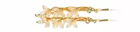Gold-Tone Floral Hairpin Set with Translucent Bead Flowers