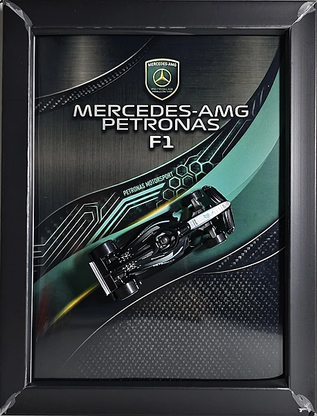 AMG Petronas Formula One Die cast Car Frame