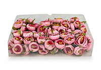 Peonies On Stick-Pink