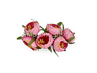 Peonies On Stick-Pink