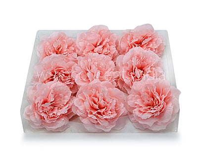 Pink LemonadeMoutan Peony