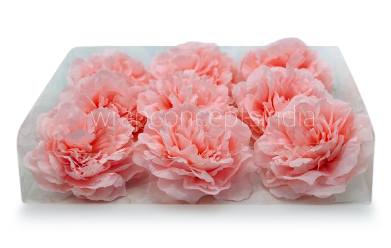 Pink LemonadeMoutan Peony