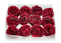 Ornate Peony - Maroon