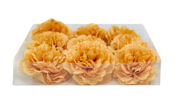 Turmeric Moutan Peony