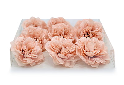 Apricot Moutan Peony