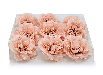 Apricot Moutan Peony