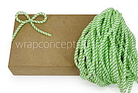 Dual Tone Stretch Pipe Chord