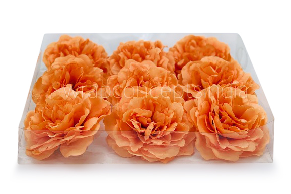 Tangerine Moutan Peony