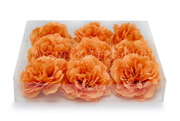 Tangerine Moutan Peony