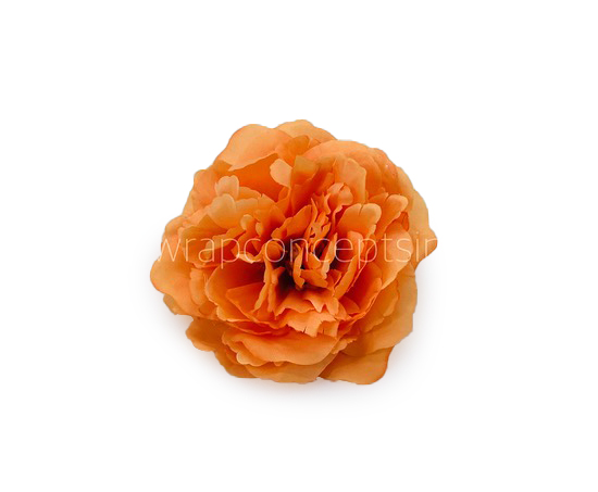 Tangerine Moutan Peony