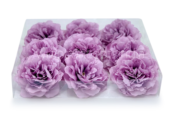 Mauve Moutan Peony