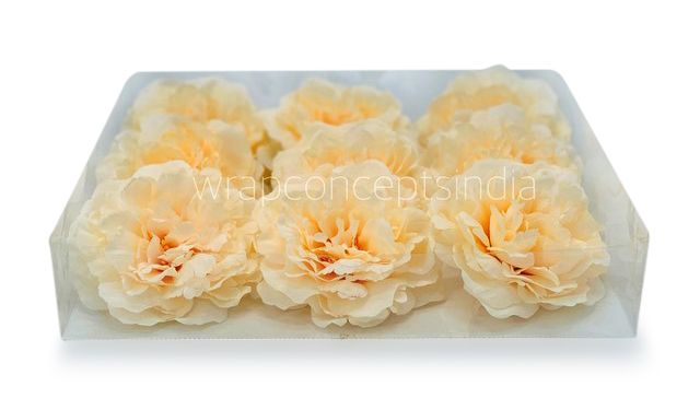 Champagne Moutan Peony