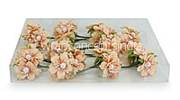 Flowers with White Pearl Centre-Peach
