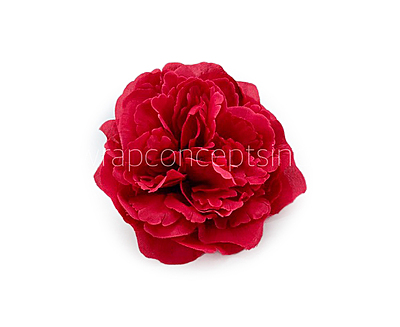 Cherry Red Moutan Peony