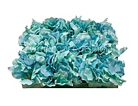 Hydrangeas - Shades of Blue