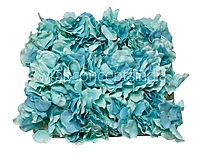 Hydrangeas - Shades of Blue