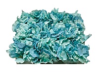 Hydrangeas - Shades of Blue