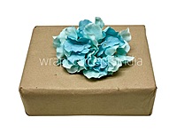 Hydrangeas - Shades of Blue
