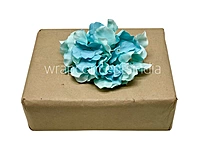 Hydrangeas - Shades of Blue