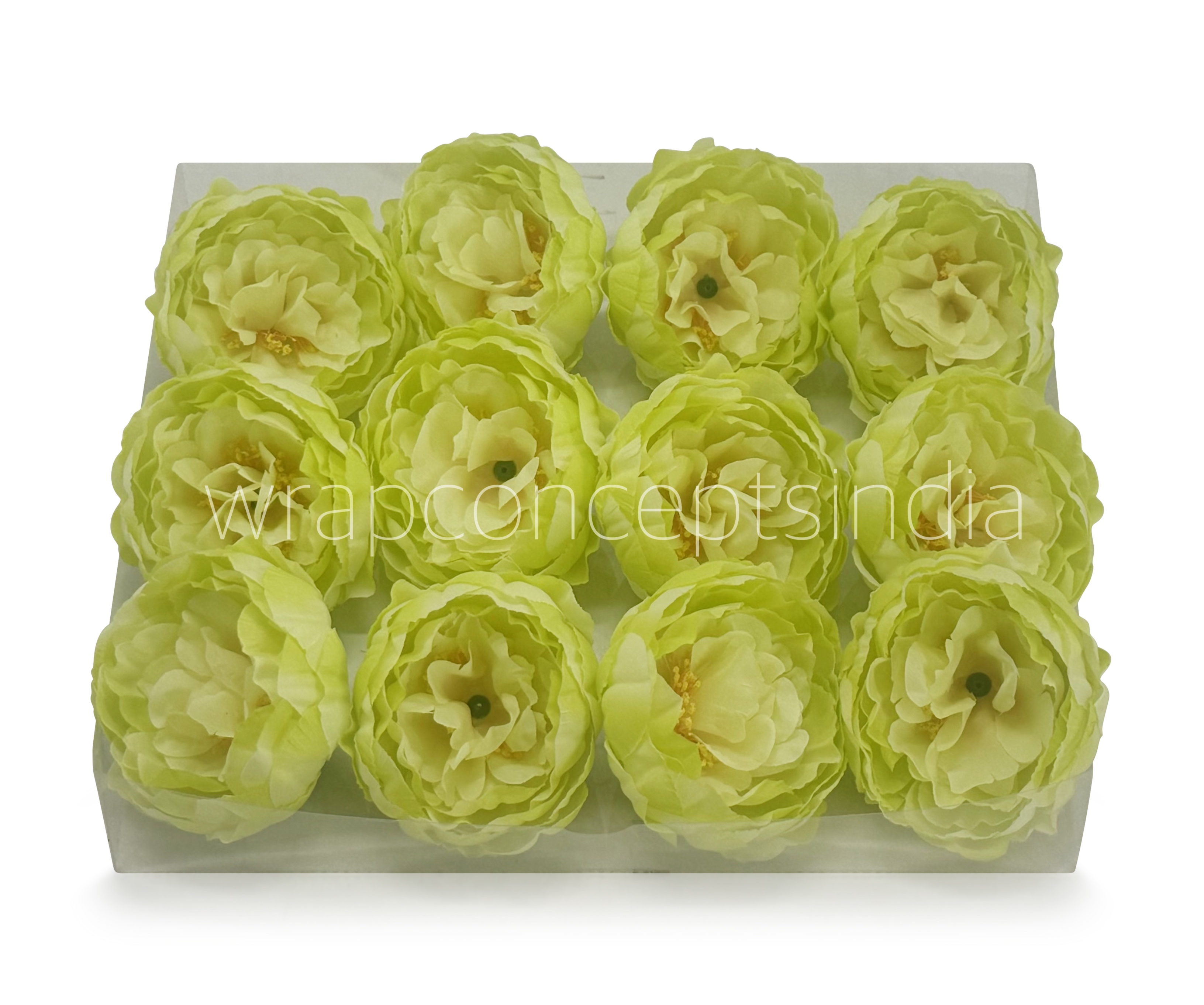 Lime Peony