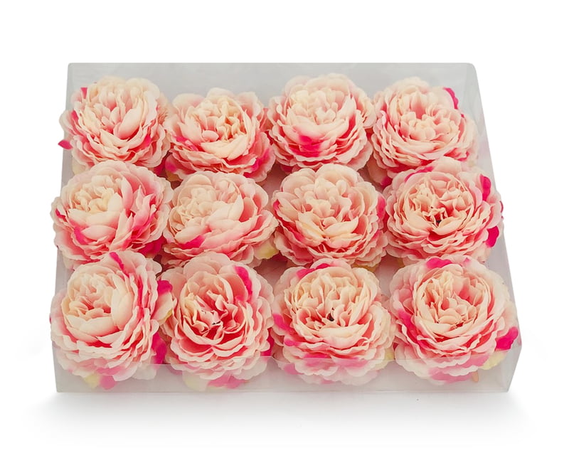 Ornate Peony- Pink Shaded