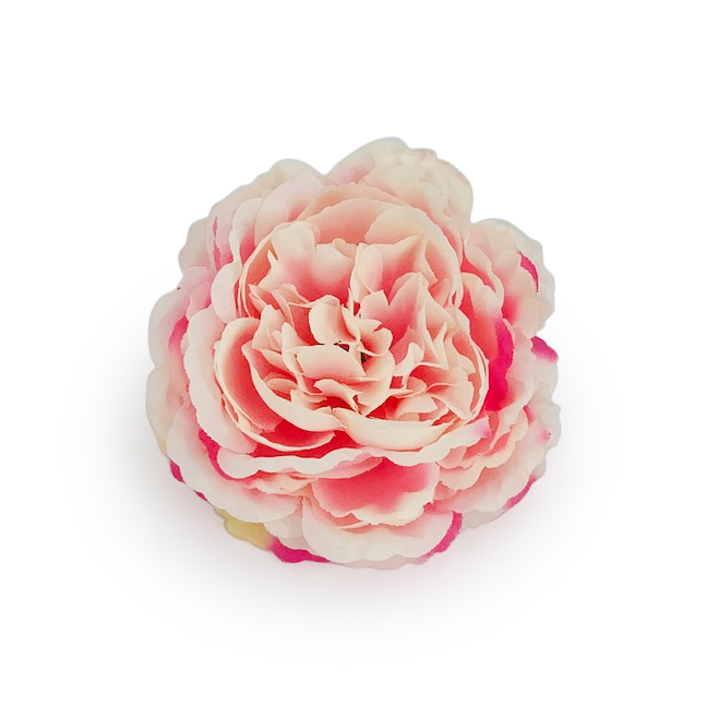 Ornate Peony- Pink Shaded