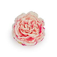 Ornate Peony- Pink Shaded