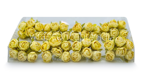 Lemon Close Peony