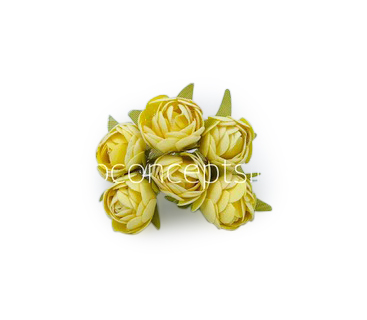 Lemon Close Peony