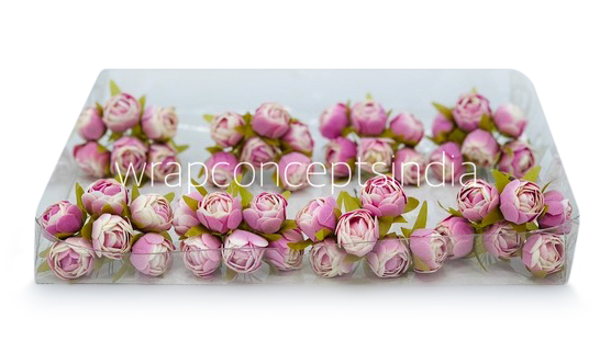 White & Lilac Close Peony
