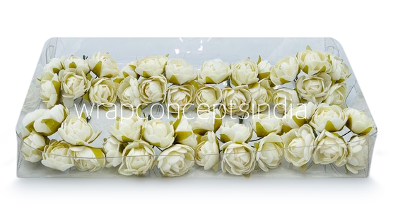 Ivory Close Peony