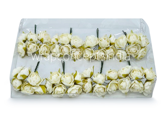 Ivory Close Peony