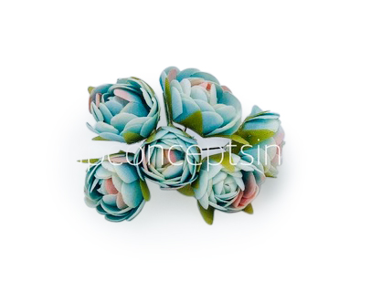 Sky Blue with hints of Pink Close Peony