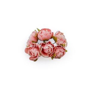 Peach Close Peony