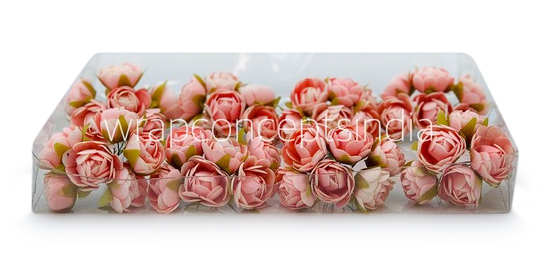 Peach Close Peony