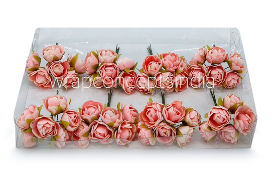 Peach Close Peony
