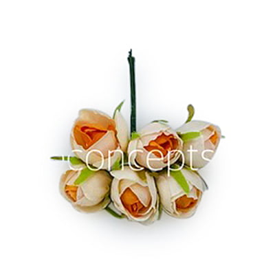 Small Close Peony - Cream with Tangerine Center