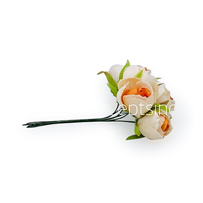 Small Close Peony - Cream with Tangerine Center