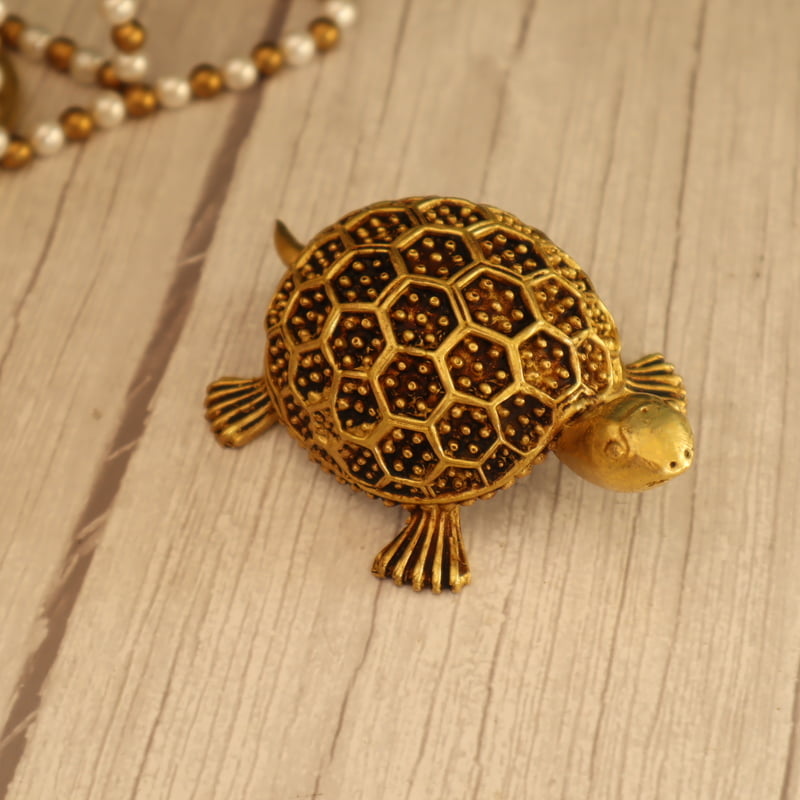 Premium Light Weight Tortoise