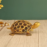 Premium Light Weight Tortoise