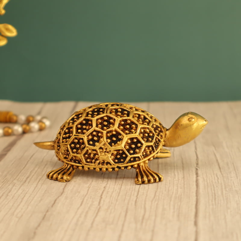 Premium Light Weight Tortoise